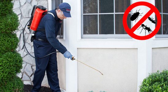 Dernekpazarı Dezenfeksiyon böcek ilaçlama ve haşere kontrolü — ilaclama-tr.com